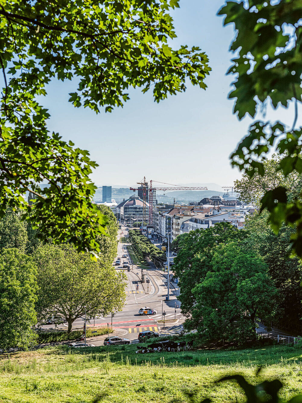 Netto-Null braucht hohe Baukultur