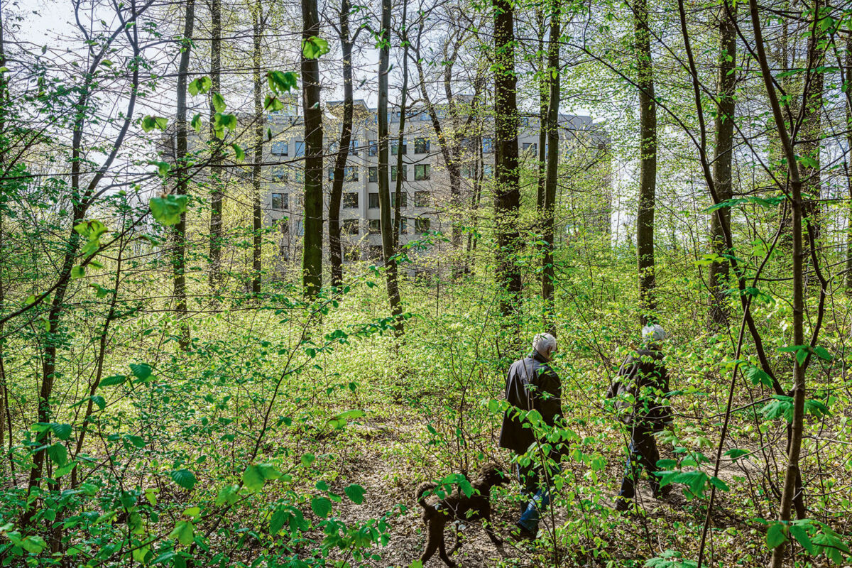 Netto-Null braucht hohe Baukultur