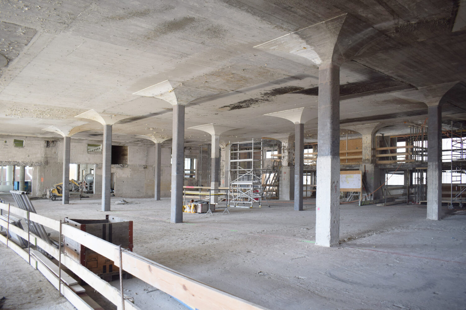 Normen, Ordnungen und Baukultur