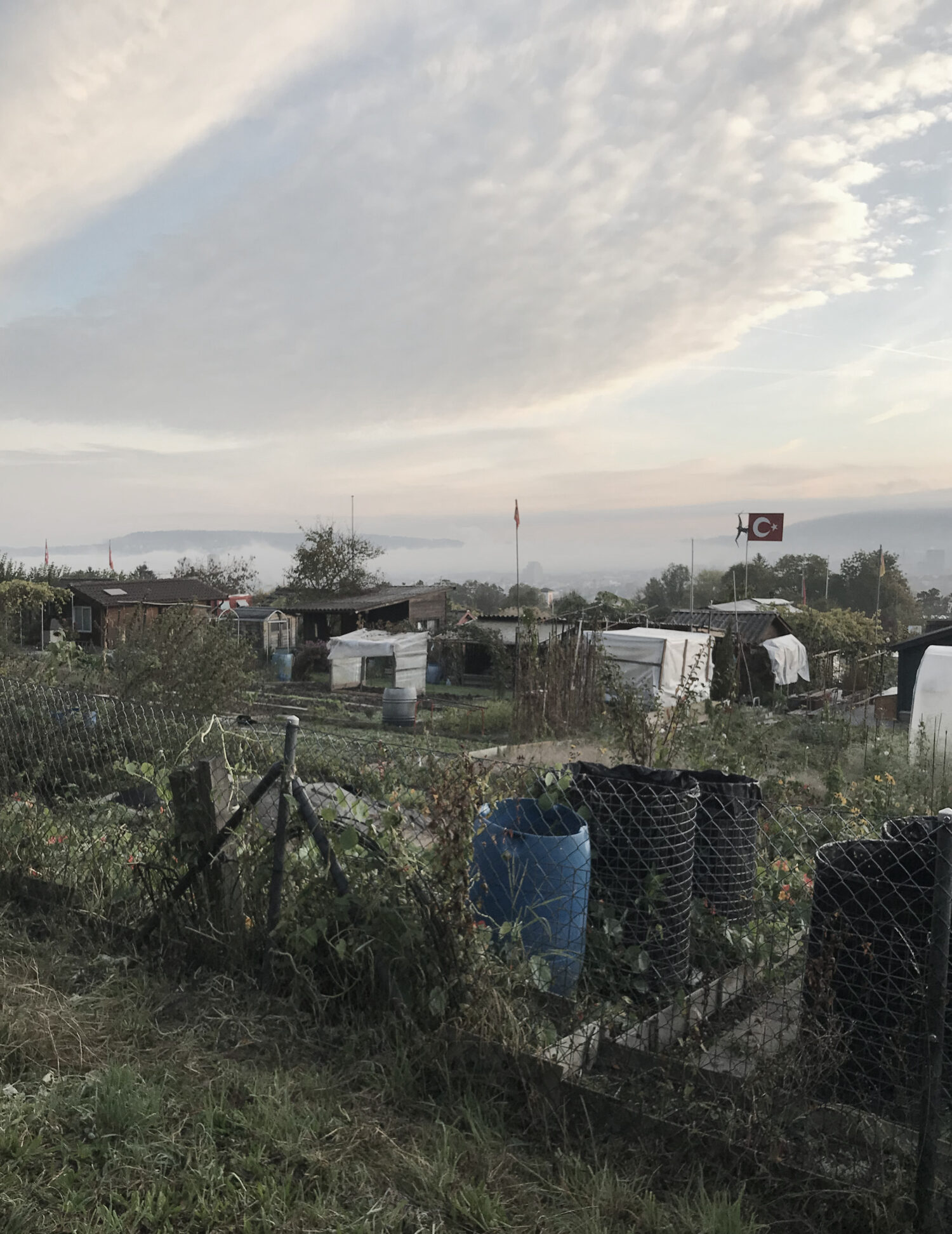 Stadtplanung im grossen Massstab - Zürich und der Kommunale Richtplan