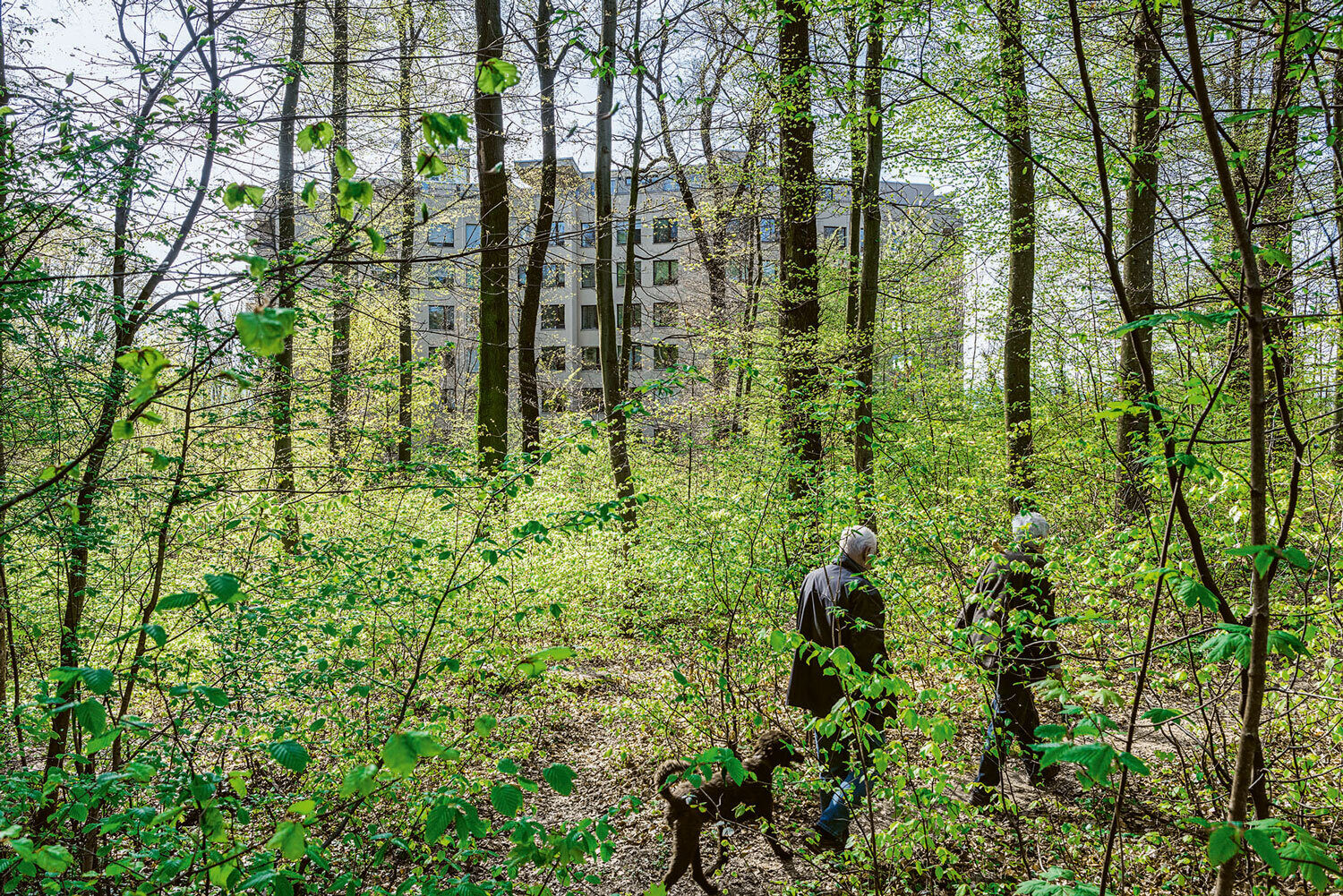 Netto-Null braucht hohe Baukultur