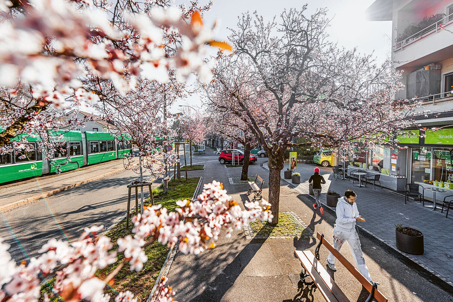 Netto-Null braucht hohe Baukultur